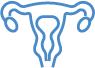 Uterus